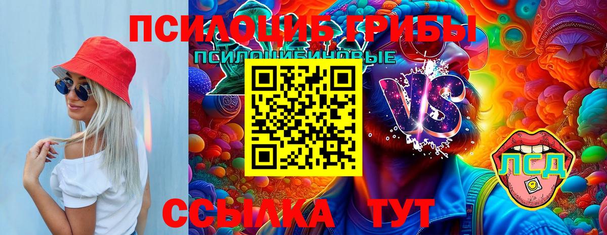 Железногорск  купить закладку  Вход с VPN  Галлюциногенные грибы Cubensis 